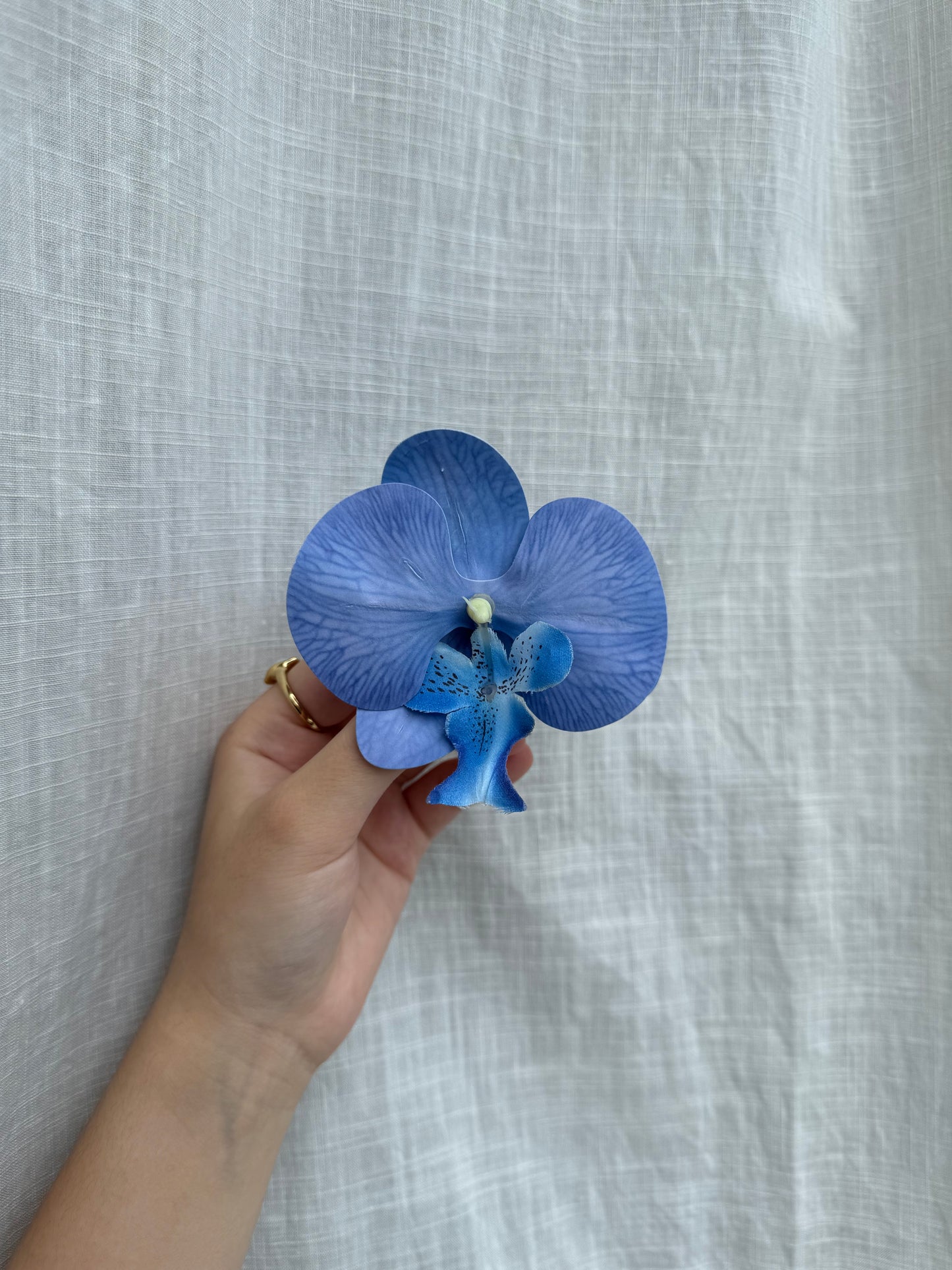 Orchid Blue